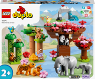 10974 LEGO® DUPLO® Town Laukiniai Azijos gyvūnai