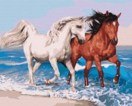 BRUSHME spalvinimo pagal skaičius rinkinys Horses on the coast, BS51568
