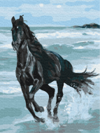 BRUSHME spalvinimo pagal skaičius rinkinys Black Horse, BS29330