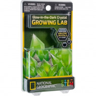 NATIONAL GEOGRAPHIC rinkinys Carded Crystal Grow Glow in the Dark, NGCRYSTALGIDCRD