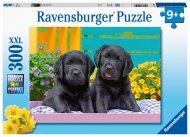 RAVENSBURGER dėlionė Puppy Life, 300d., 12950