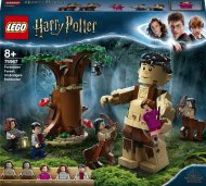75967 LEGO® Harry Potter™ Uždraustasis miškas: Ambridž susidūrimas