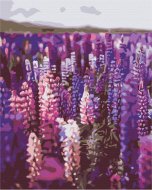 BRUSHME spalvinimo pagal skaičius rinkinys Lavender, BS52625