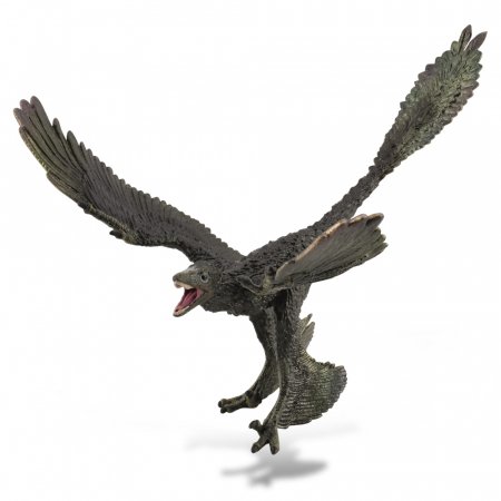 COLLECTA Mikroraptorius, 1:6, (XL), 88875 88875