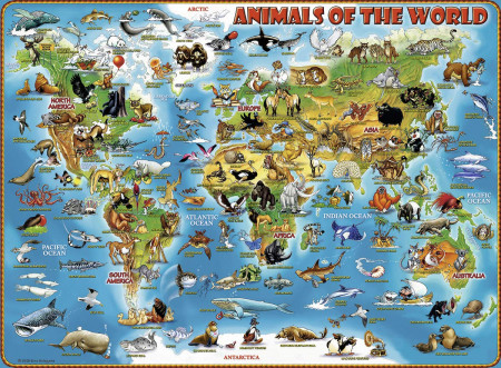 RAVENSBURGER dėlionė Gyvūnai visame pasaulyje, 300d., 13257 13257