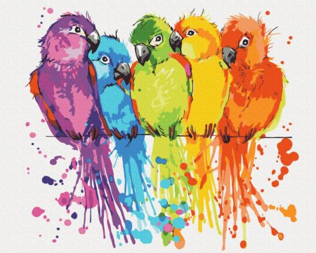 BRUSHME spalvinimo pagal skaičius rinkinys Colorful parrots, BS28115 BS28115