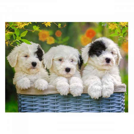RAVENSBURGER dėlionė Cuddly Puppies, 200d., 12765 12765