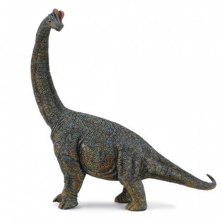 COLLECTA Brachiozauras, Deluxe, 1:40, 88405 88405