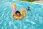 BESTWAY pripučiamas plaukimo ratas Glitter Seahorse, 1.15m x 1.04m, 36305 36305